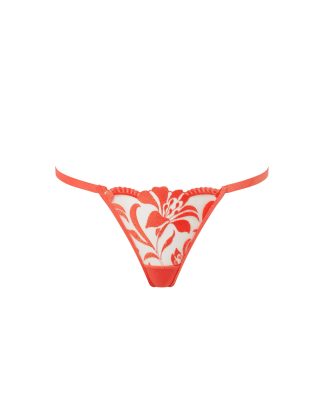 Bluebella Leonora Thong Hot Coral/Sheer
