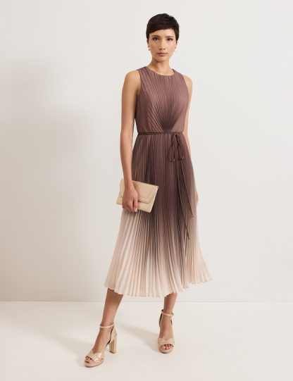 Phase Eight Women's Ombre Round Neck Midi Skater Dress - 8 - Brown Mix, Brown Mix